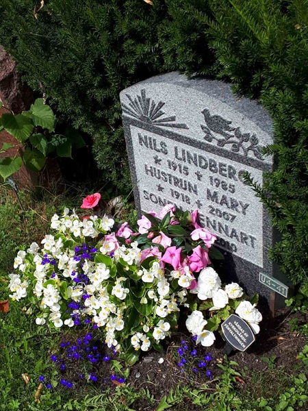 Hautatunnus: GK U 4    41