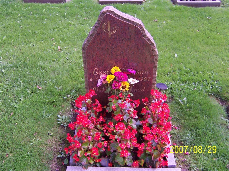 Grave number: 1 3 U3    12