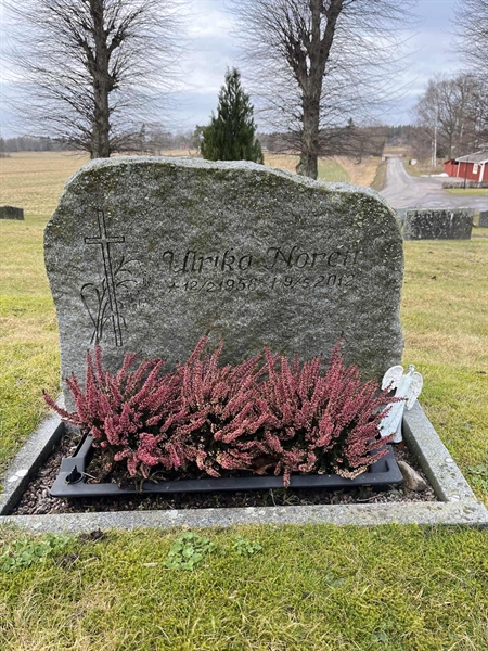 Hautatunnus: HA C    66, 67