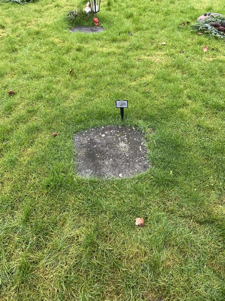 Gravnummer: 3 3    81