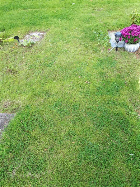 Gravnummer: NK A A   216