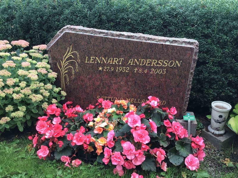 Hautatunnus: Kaga ny   222-223