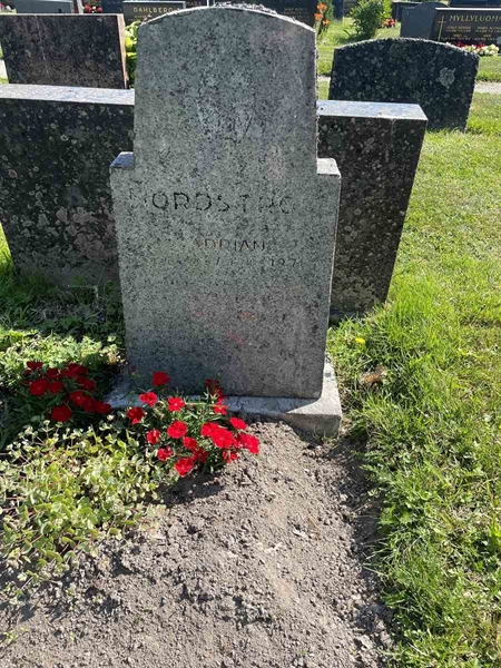 Hautatunnus: N 5 2   193