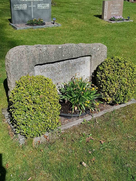 Grave number: 01  3631