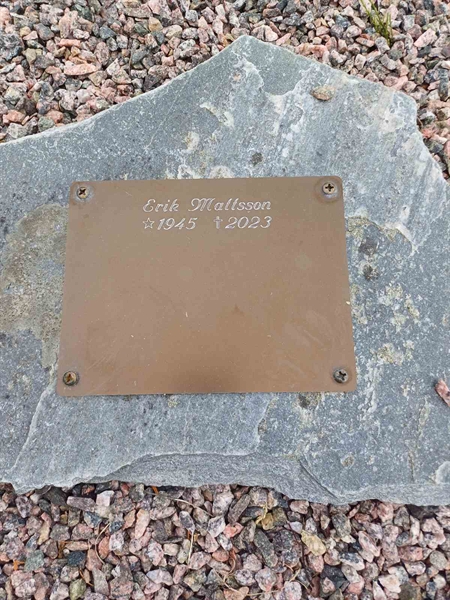 Grave number: SA AGP6   51