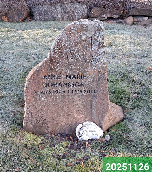 Hautatunnus: 1 N    22