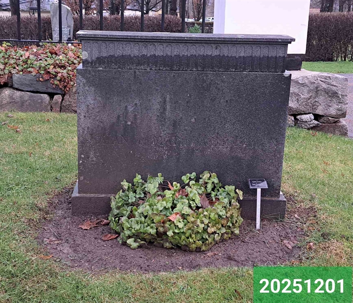 Hautatunnus: 1 N    82