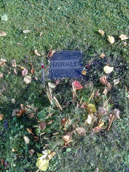 Grave number: NO 17   216