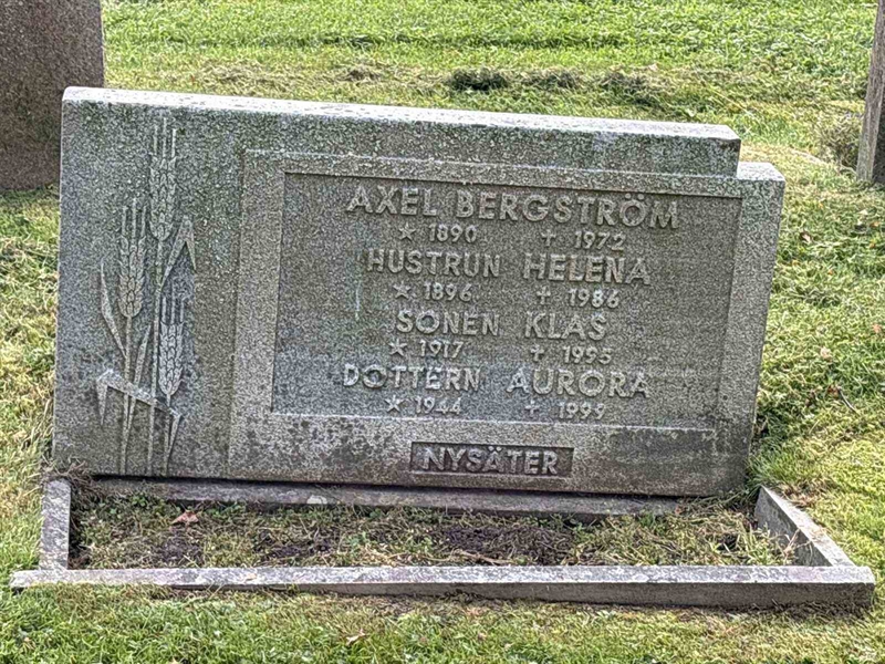 Grave number: IN 31     6-9
