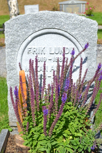 Grave number: 12 1     9-10