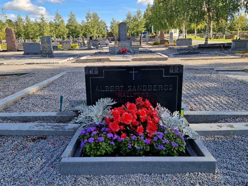 Grave number: 2 06   195