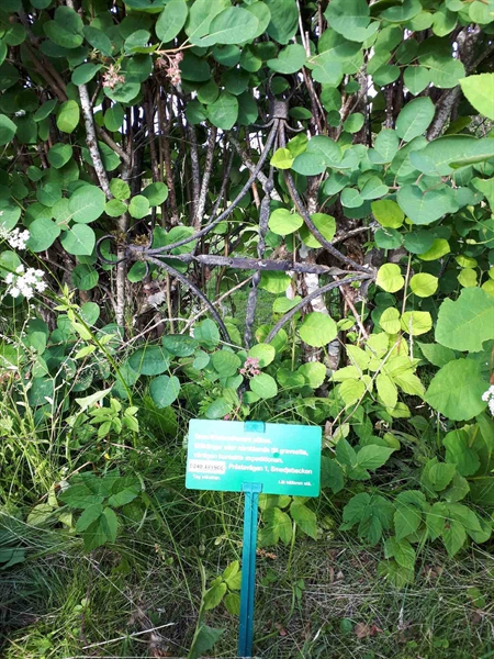 Hautatunnus: GK A 5   200H