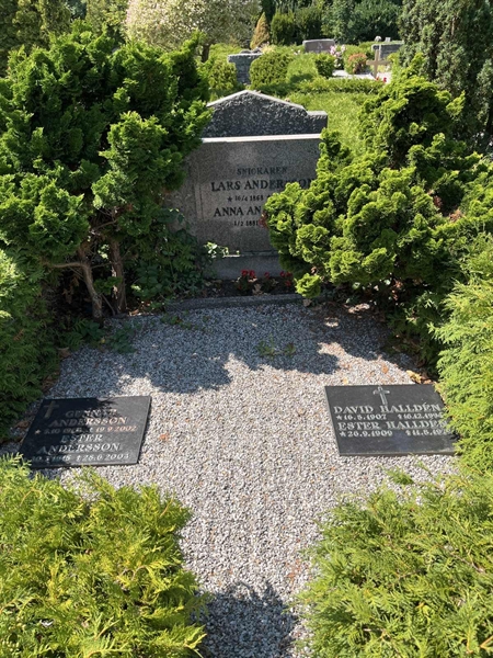 Grave number: NK VII    51