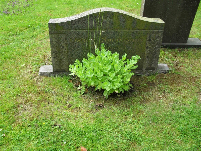 Grave number: SU 04   410, 411
