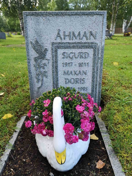 Hautatunnus: NK 18    13