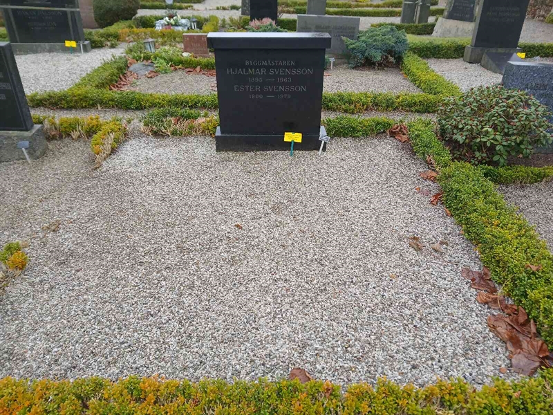 Hautatunnus: FE A    80, 81