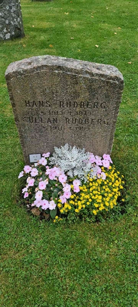 Grave number: M S   46c