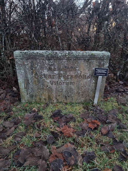 Hautatunnus: 1 26   38