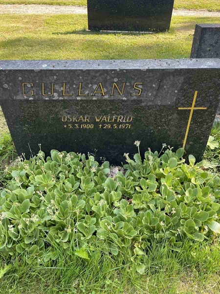 Gravnummer: N 5 2   204b