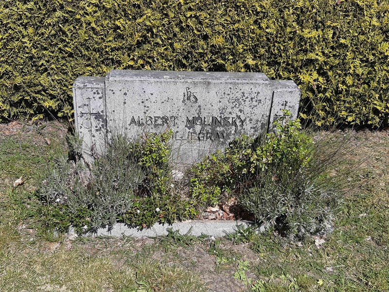 Grave number: JÄ 06   250