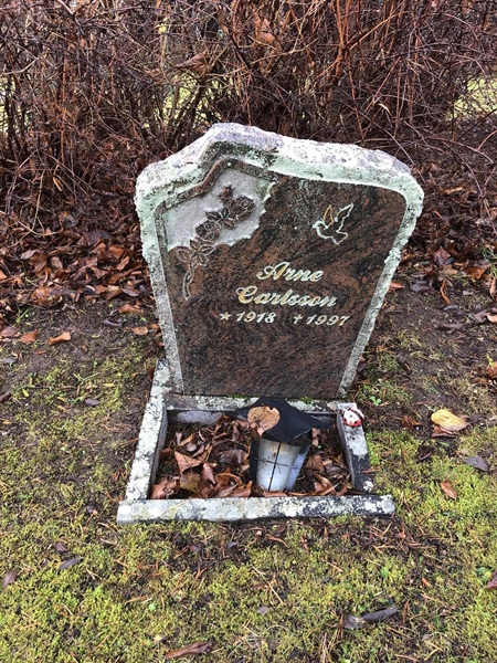 Grave number: 1 C1    25