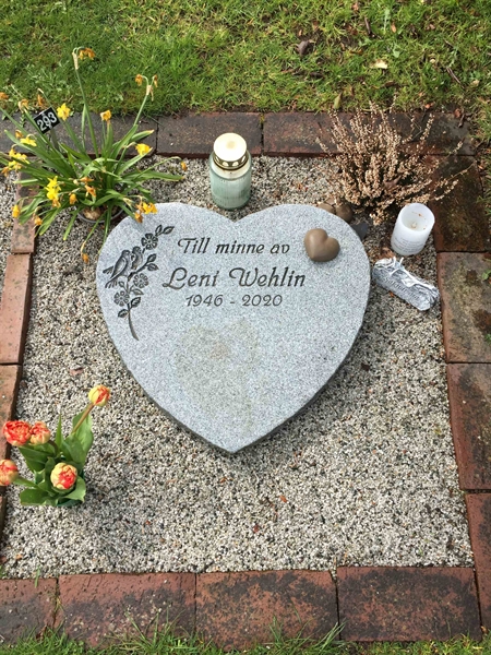 Grave number: NK SD F   293