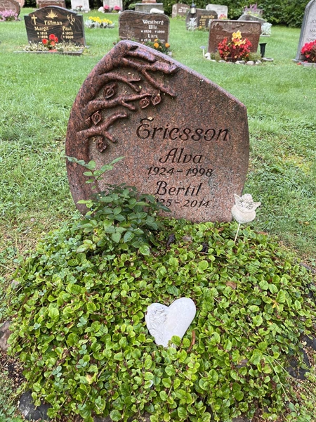 Grave number: 5 01   149