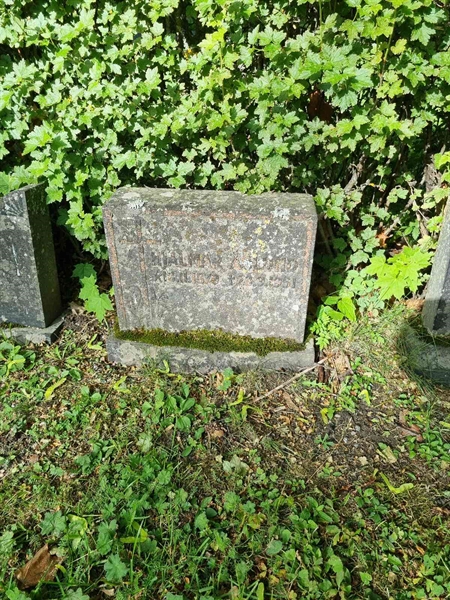 Grave number: 1 19   53