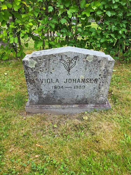 Grave number: Jä 04   117