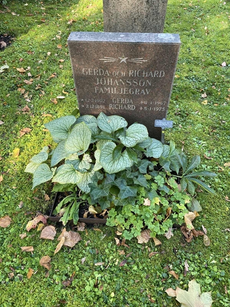 Gravnummer: 1 H   358