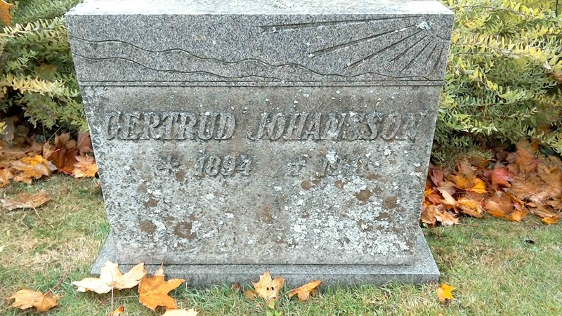Grave number: 3 NK   176