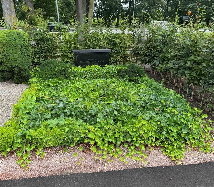 Hautatunnus: Ö ÖSN    79, 80