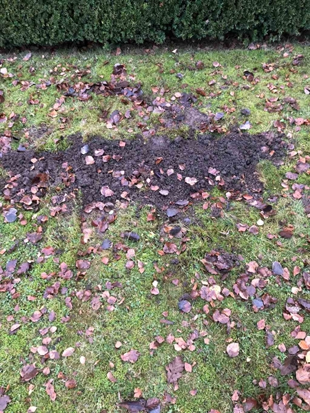 Gravnummer: BK H   190-191