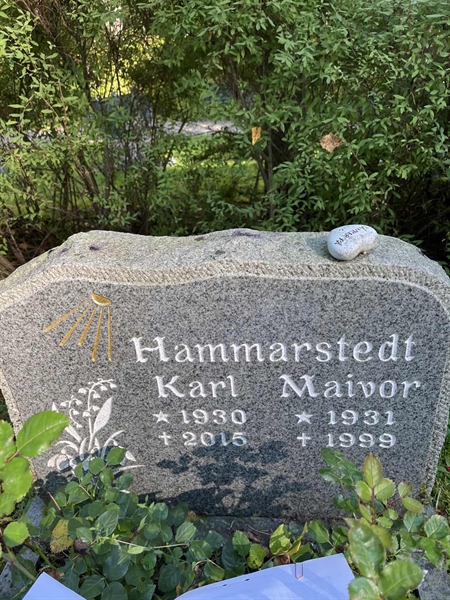 Hautatunnus: 30ST HÄGG     3
