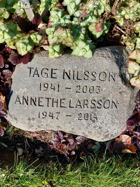 Hautatunnus: 1 L   069