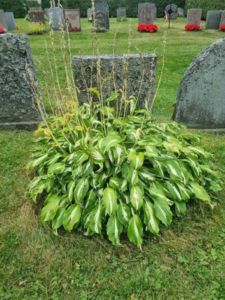 Grave number: 1 13  209, 210