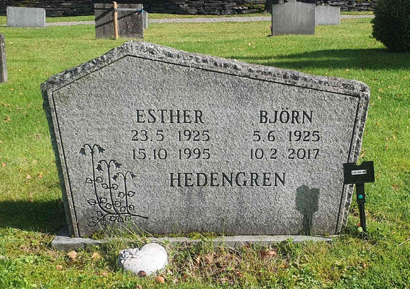 Grave number: 1 X    95-96