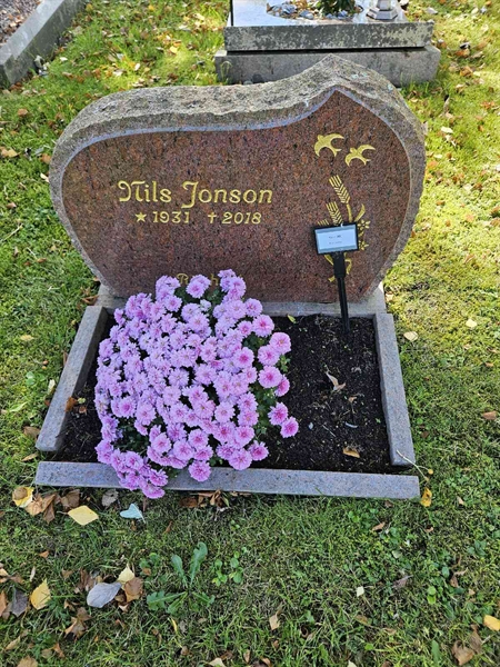 Grave number: Fr 7   961