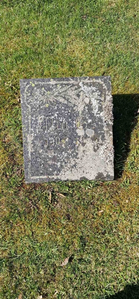 Grave number: F V C   239
