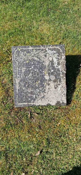 Hautatunnus: F V C 239