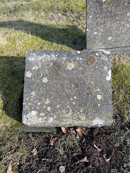 Hautatunnus: HA N    13