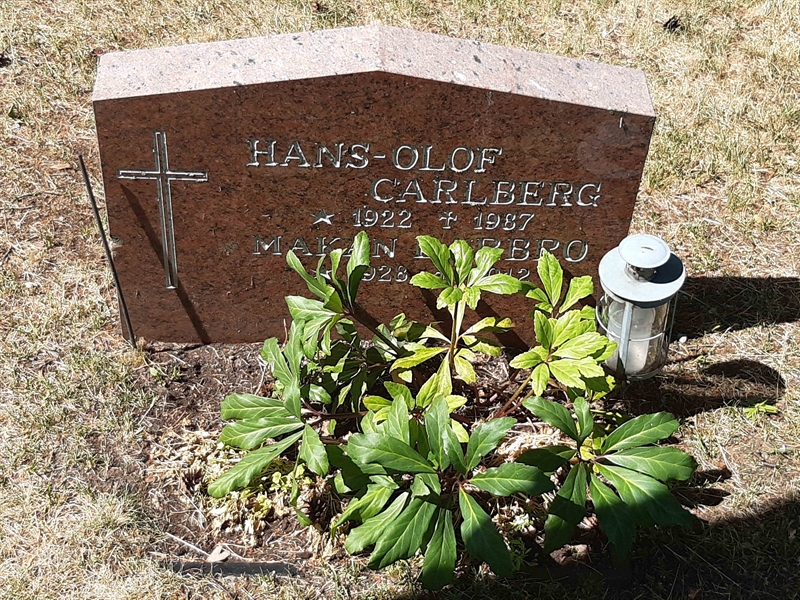 Grave number: VI 05   836