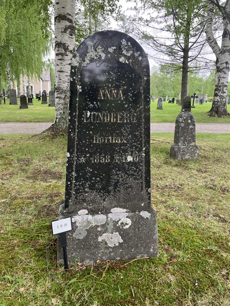Grave number: 2 D    21