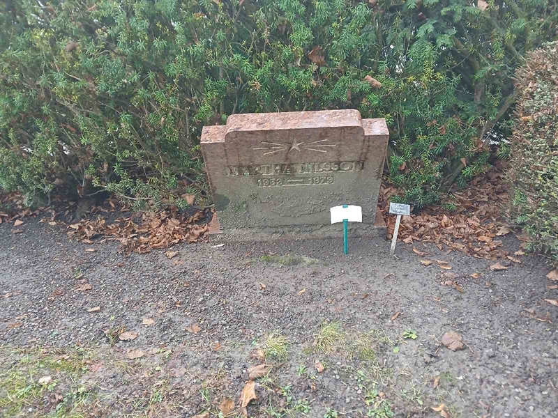 Grave number: FE D     8