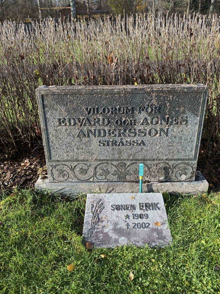 Gravnummer: 6 04     64, 65