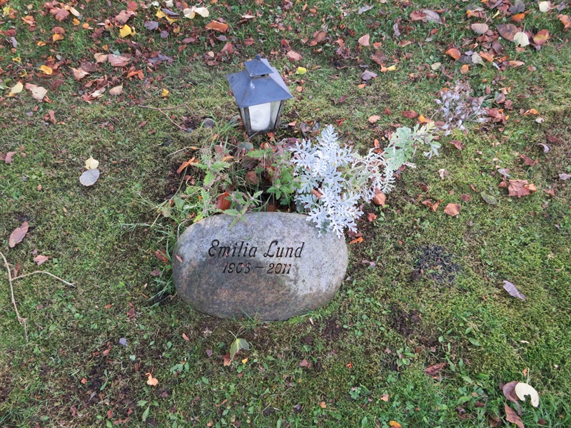 Grave number: 1 11  182
