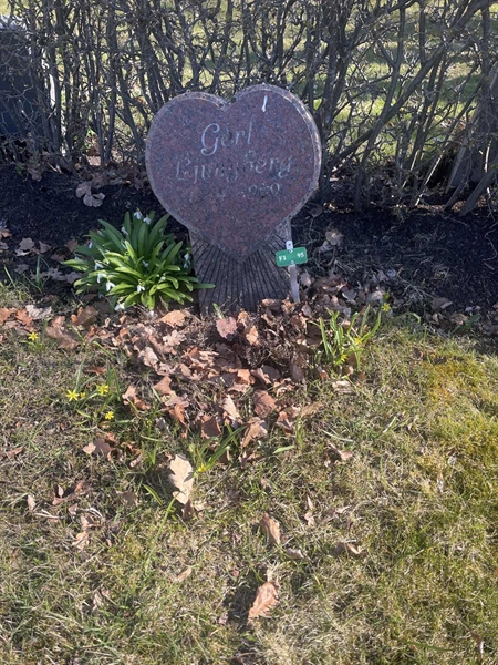 Grave number: 1 3 F1 95