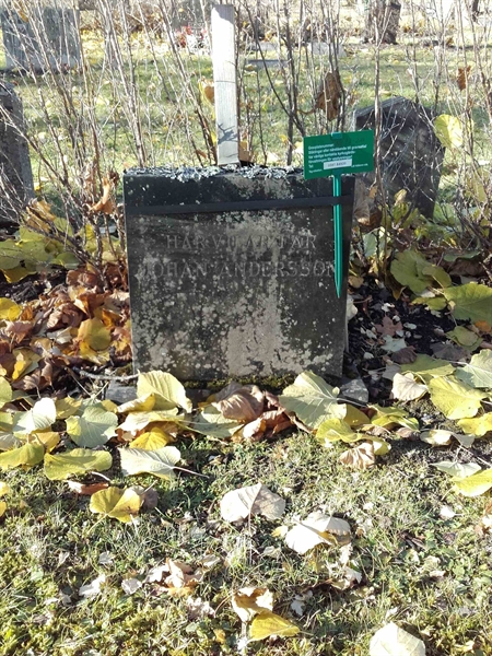 Grave number: NO 23   206