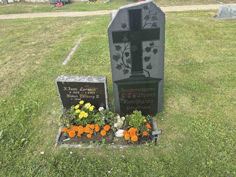 Grave number: 003 D     1