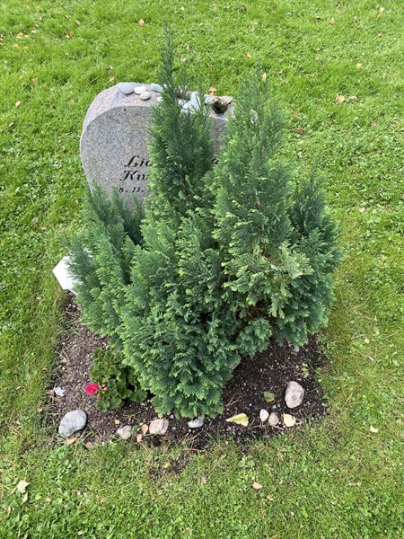 Grave number: 2 C   141